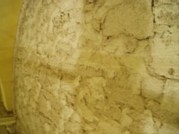 christchurch -1408.jpg
